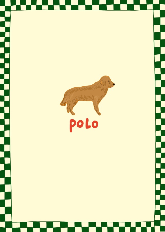 Carreaux — Portrait d'animal personnalisé par Géraldine De Groote, illustratrice à Bruxelles